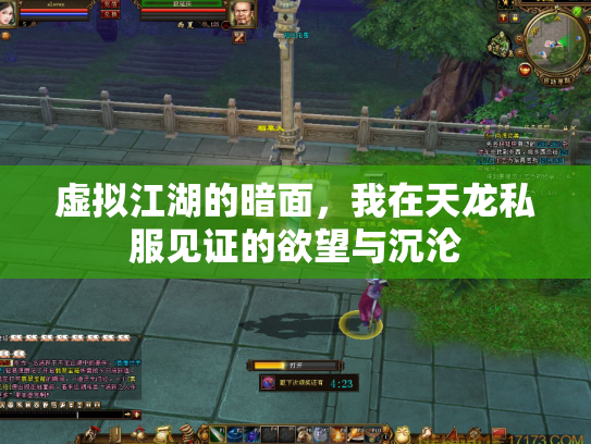 虚拟江湖的暗面，我在天龙私服见证的欲望与沉沦