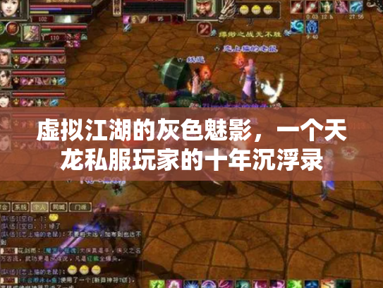 虚拟江湖的灰色魅影，一个天龙私服玩家的十年沉浮录