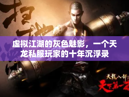 虚拟江湖的灰色魅影，一个天龙私服玩家的十年沉浮录
