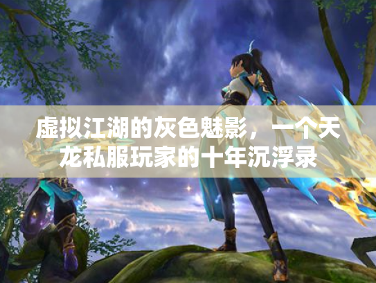虚拟江湖的灰色魅影，一个天龙私服玩家的十年沉浮录
