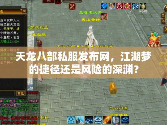 天龙八部私服发布网，江湖梦的捷径还是风险的深渊？