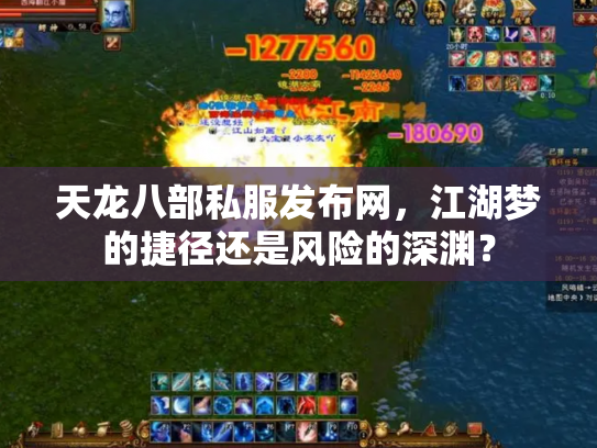 天龙八部私服发布网，江湖梦的捷径还是风险的深渊？