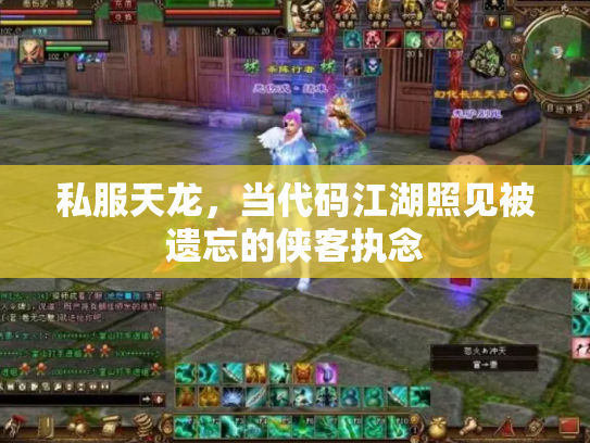 私服天龙，当代码江湖照见被遗忘的侠客执念