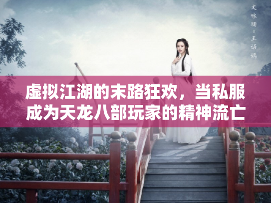 虚拟江湖的末路狂欢，当私服成为天龙八部玩家的精神流亡地