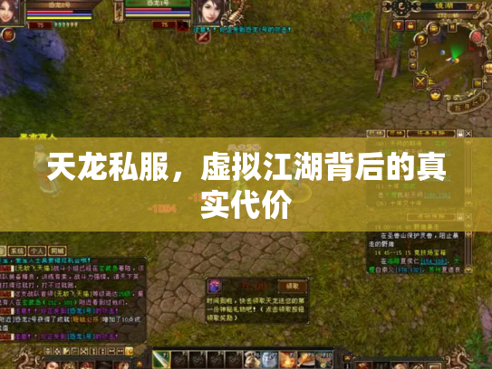天龙私服，虚拟江湖背后的真实代价