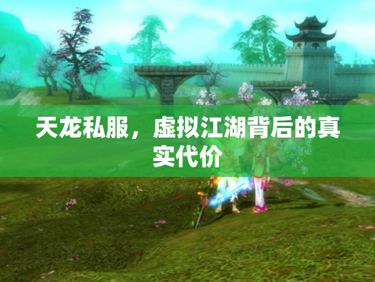 天龙私服，虚拟江湖背后的真实代价