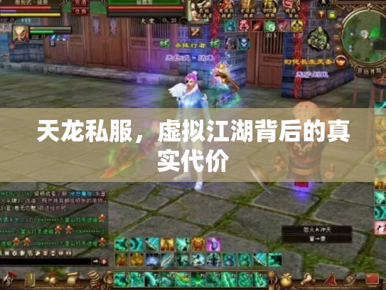 天龙私服，虚拟江湖背后的真实代价