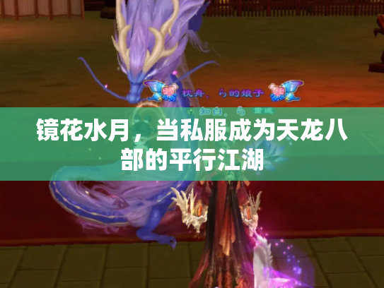 镜花水月，当私服成为天龙八部的平行江湖