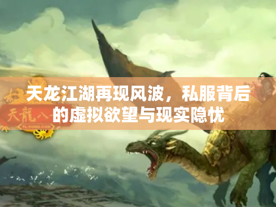 天龙江湖再现风波，私服背后的虚拟欲望与现实隐忧