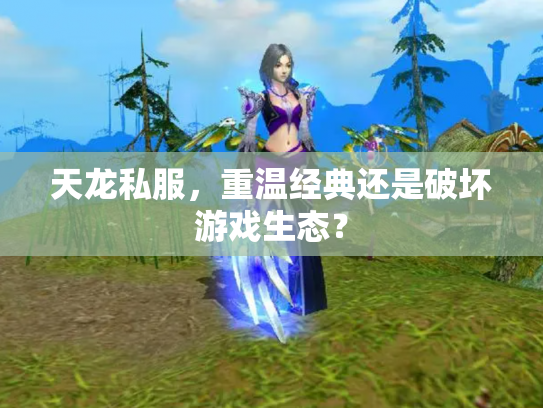 天龙私服，重温经典还是破坏游戏生态？