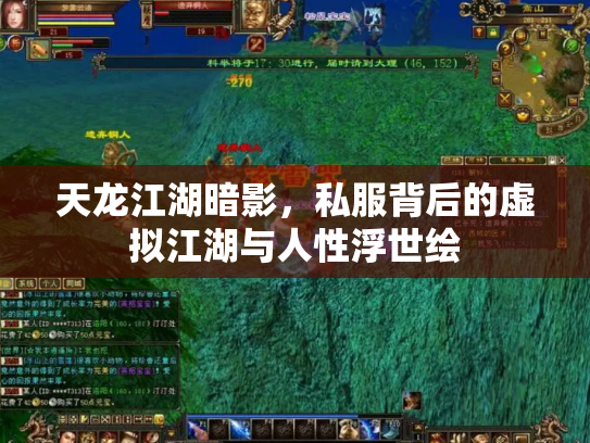 天龙江湖暗影，私服背后的虚拟江湖与人性浮世绘