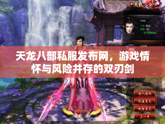 天龙八部私服发布网，游戏情怀与风险并存的双刃剑