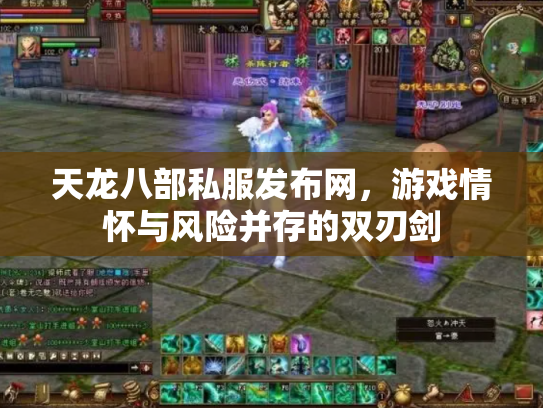 天龙八部私服发布网，游戏情怀与风险并存的双刃剑
