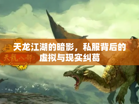天龙江湖的暗影，私服背后的虚拟与现实纠葛
