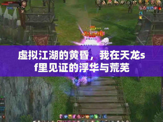 虚拟江湖的黄昏，我在天龙sf里见证的浮华与荒芜