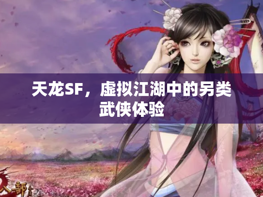 天龙SF，虚拟江湖中的另类武侠体验