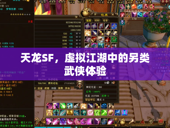 天龙SF，虚拟江湖中的另类武侠体验