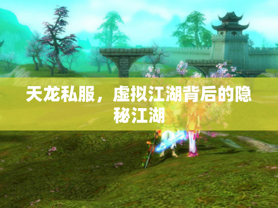 天龙私服，虚拟江湖背后的隐秘江湖