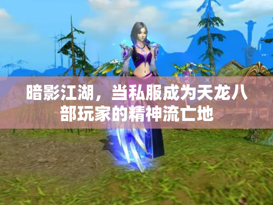 暗影江湖，当私服成为天龙八部玩家的精神流亡地