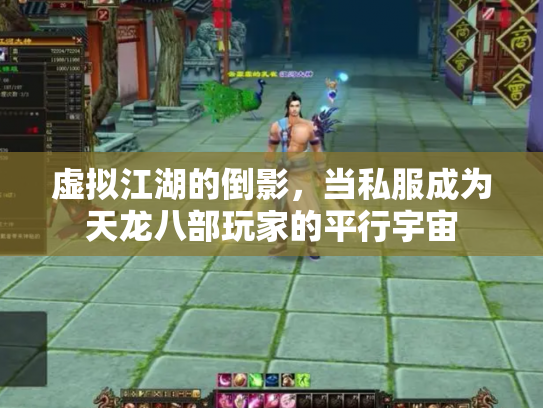 虚拟江湖的倒影，当私服成为天龙八部玩家的平行宇宙