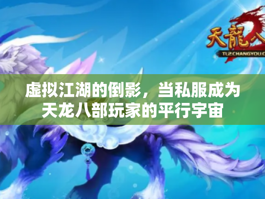 虚拟江湖的倒影，当私服成为天龙八部玩家的平行宇宙