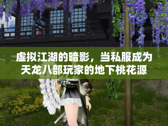 虚拟江湖的暗影，当私服成为天龙八部玩家的地下桃花源