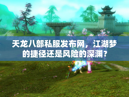 天龙八部私服发布网，江湖梦的捷径还是风险的深渊？