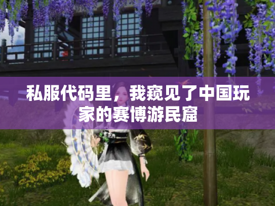 私服代码里，我窥见了中国玩家的赛博游民窟