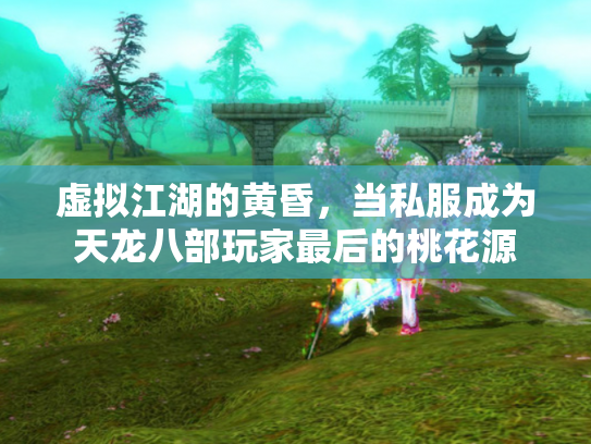 虚拟江湖的黄昏，当私服成为天龙八部玩家最后的桃花源