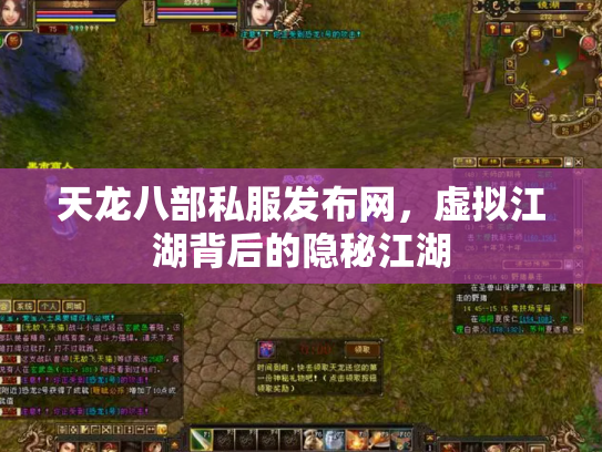 天龙八部私服发布网，虚拟江湖背后的隐秘江湖