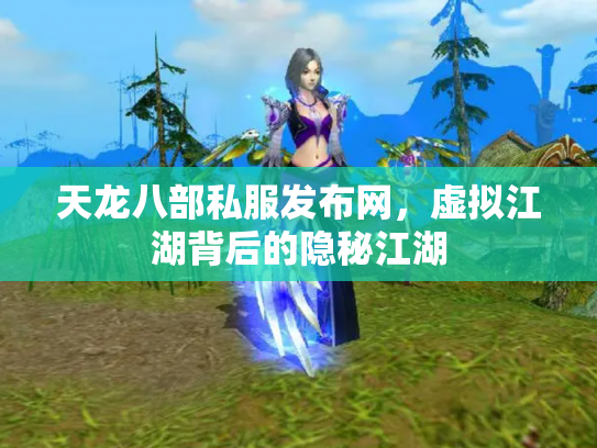 天龙八部私服发布网，虚拟江湖背后的隐秘江湖