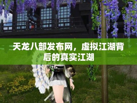 天龙八部发布网，虚拟江湖背后的真实江湖