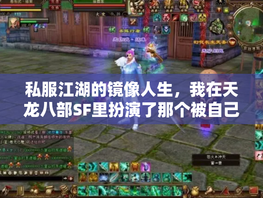私服江湖的镜像人生，我在天龙八部SF里扮演了那个被自己杀死的NPC