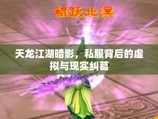 天龙江湖暗影，私服背后的虚拟与现实纠葛