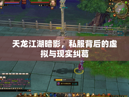 天龙江湖暗影，私服背后的虚拟与现实纠葛