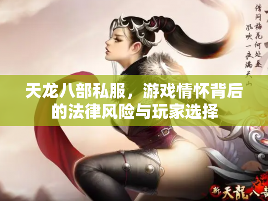 天龙八部私服，游戏情怀背后的法律风险与玩家选择