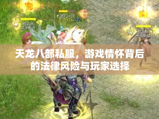 天龙八部私服，游戏情怀背后的法律风险与玩家选择