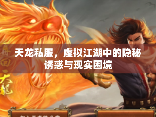 天龙私服，虚拟江湖中的隐秘诱惑与现实困境