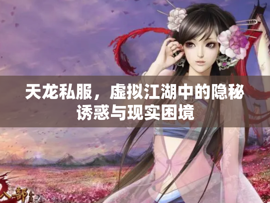 天龙私服，虚拟江湖中的隐秘诱惑与现实困境