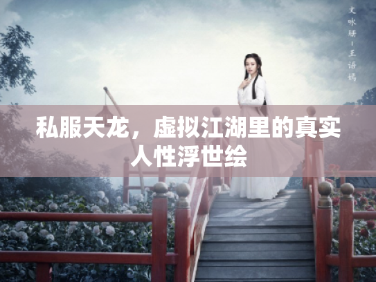 私服天龙，虚拟江湖里的真实人性浮世绘