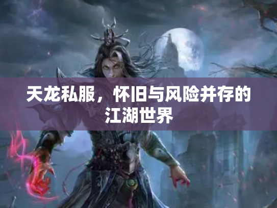 天龙私服，怀旧与风险并存的江湖世界