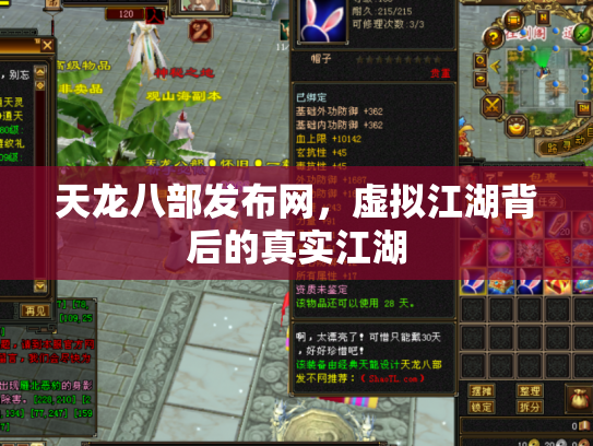 天龙八部发布网，虚拟江湖背后的真实江湖
