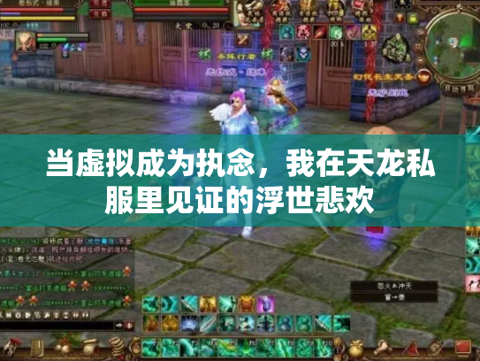 当虚拟成为执念，我在天龙私服里见证的浮世悲欢