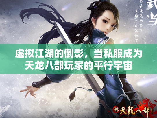 虚拟江湖的倒影，当私服成为天龙八部玩家的平行宇宙