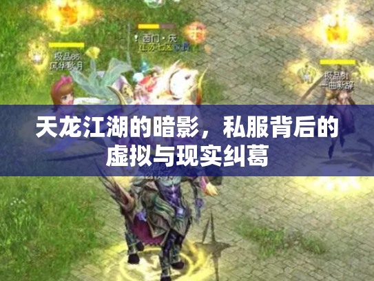 天龙江湖的暗影，私服背后的虚拟与现实纠葛