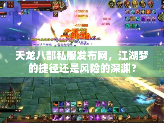 天龙八部私服发布网，江湖梦的捷径还是风险的深渊？
