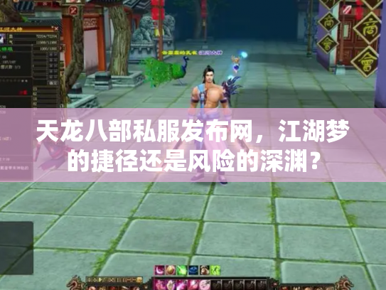 天龙八部私服发布网，江湖梦的捷径还是风险的深渊？