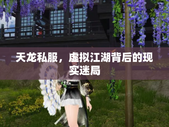 天龙私服，虚拟江湖背后的现实迷局