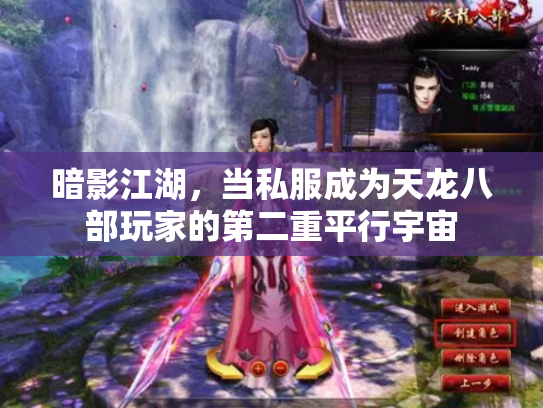 暗影江湖，当私服成为天龙八部玩家的第二重平行宇宙