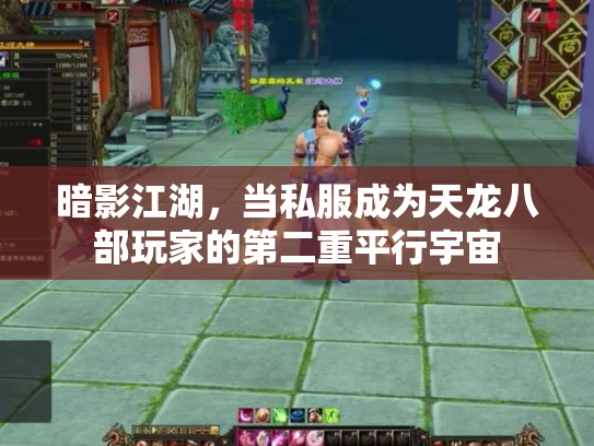 暗影江湖，当私服成为天龙八部玩家的第二重平行宇宙